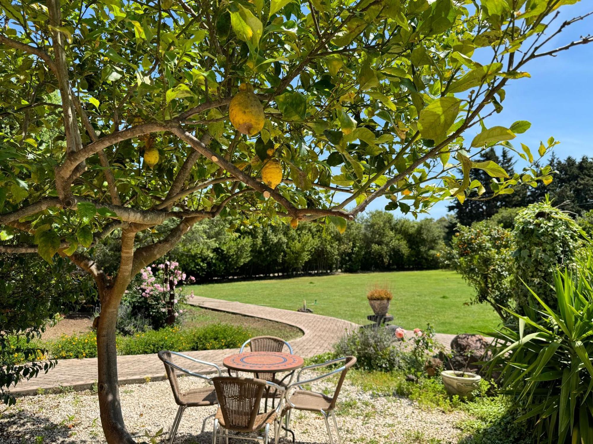L'Orto Villa San Vero Milis Eksteriør billede