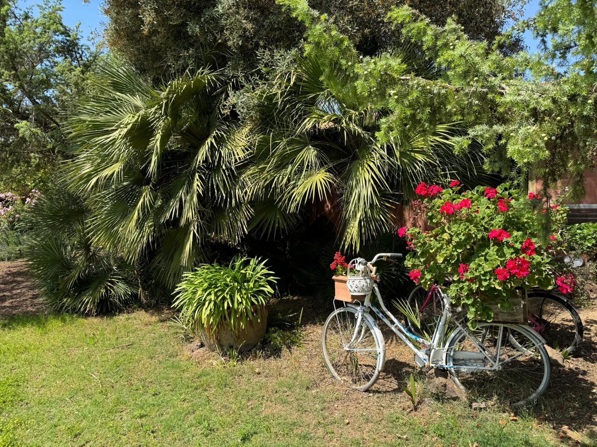 L'Orto Villa San Vero Milis Eksteriør billede